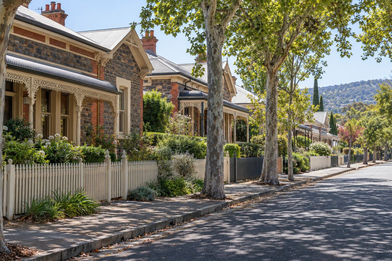 Carpenter, eastern suburbs Adelaide: bluestone villas with iron lace verandahs and white picket fences under plane trees