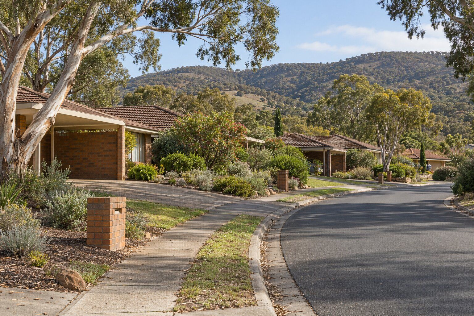 Carpenter, north-east Adelaide: brick homes with tiled roofs and carports on a curving street below gum-covered foothills
